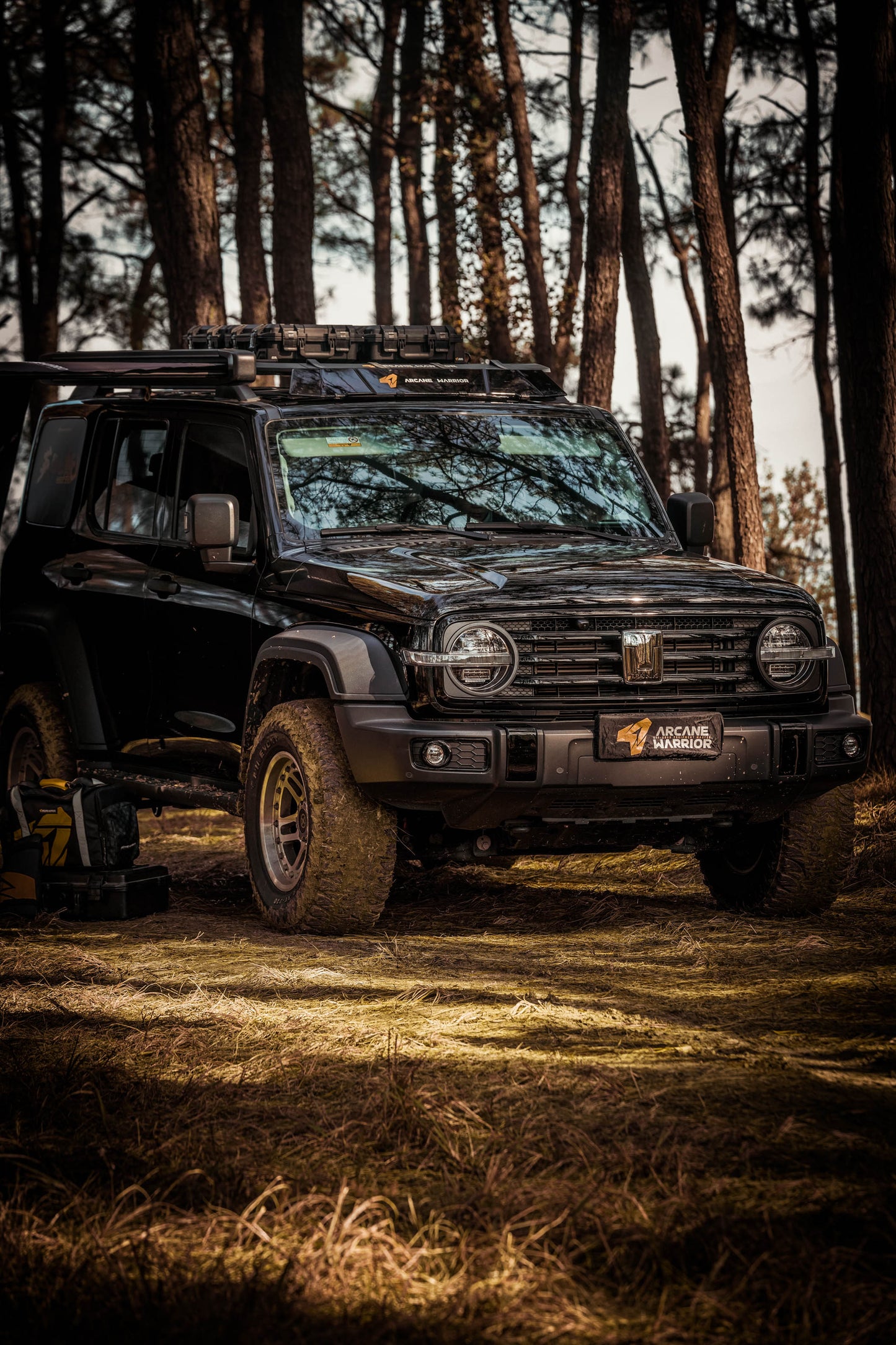 STORM ROOF PLATFORM - WIND DEFLECTOR