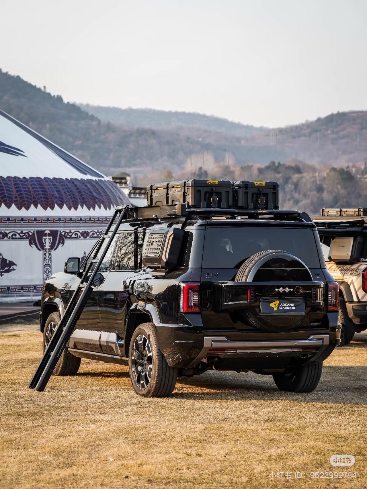 AW Storm Roof Platform GWM TANK 500