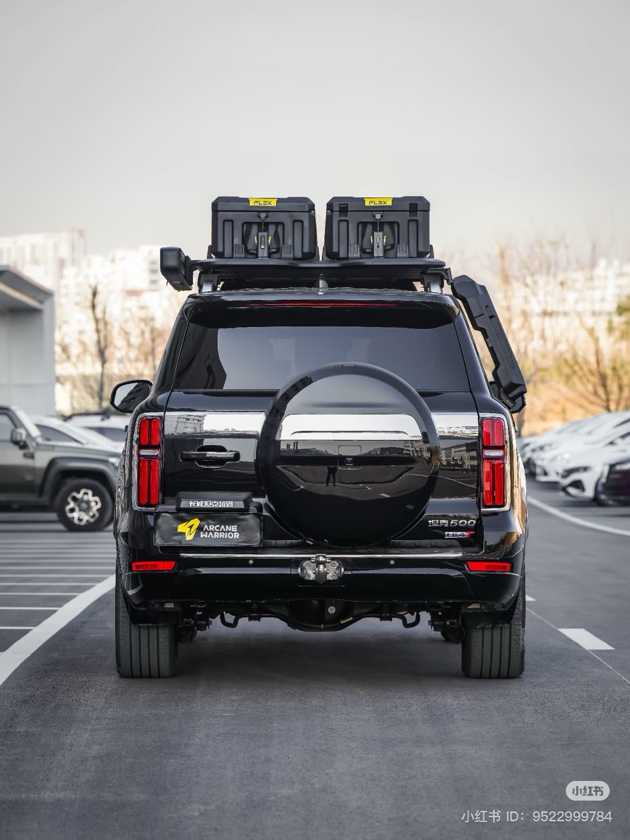 AW Storm Roof Platform GWM TANK 500