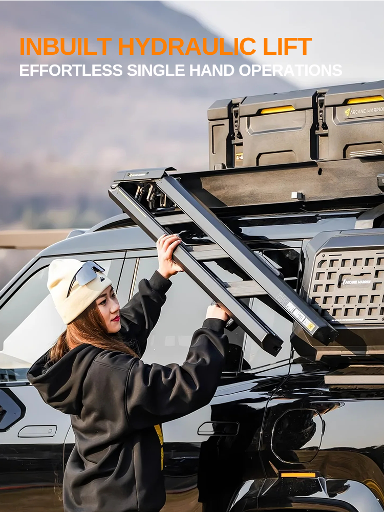 AW Revolve Swivel Ladder