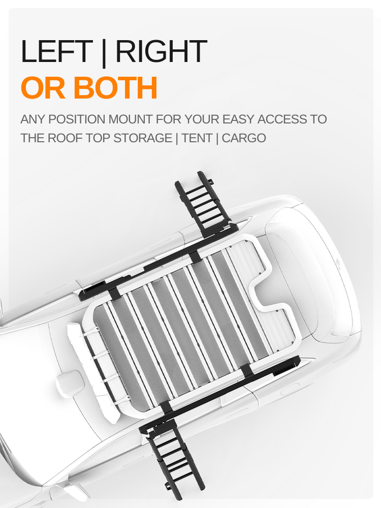 AW Revolve Swivel Ladder