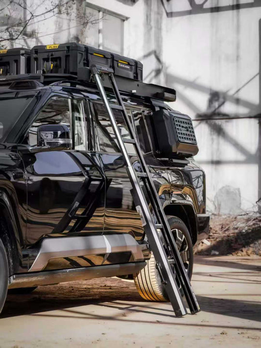 AW Revolve Swivel Ladder