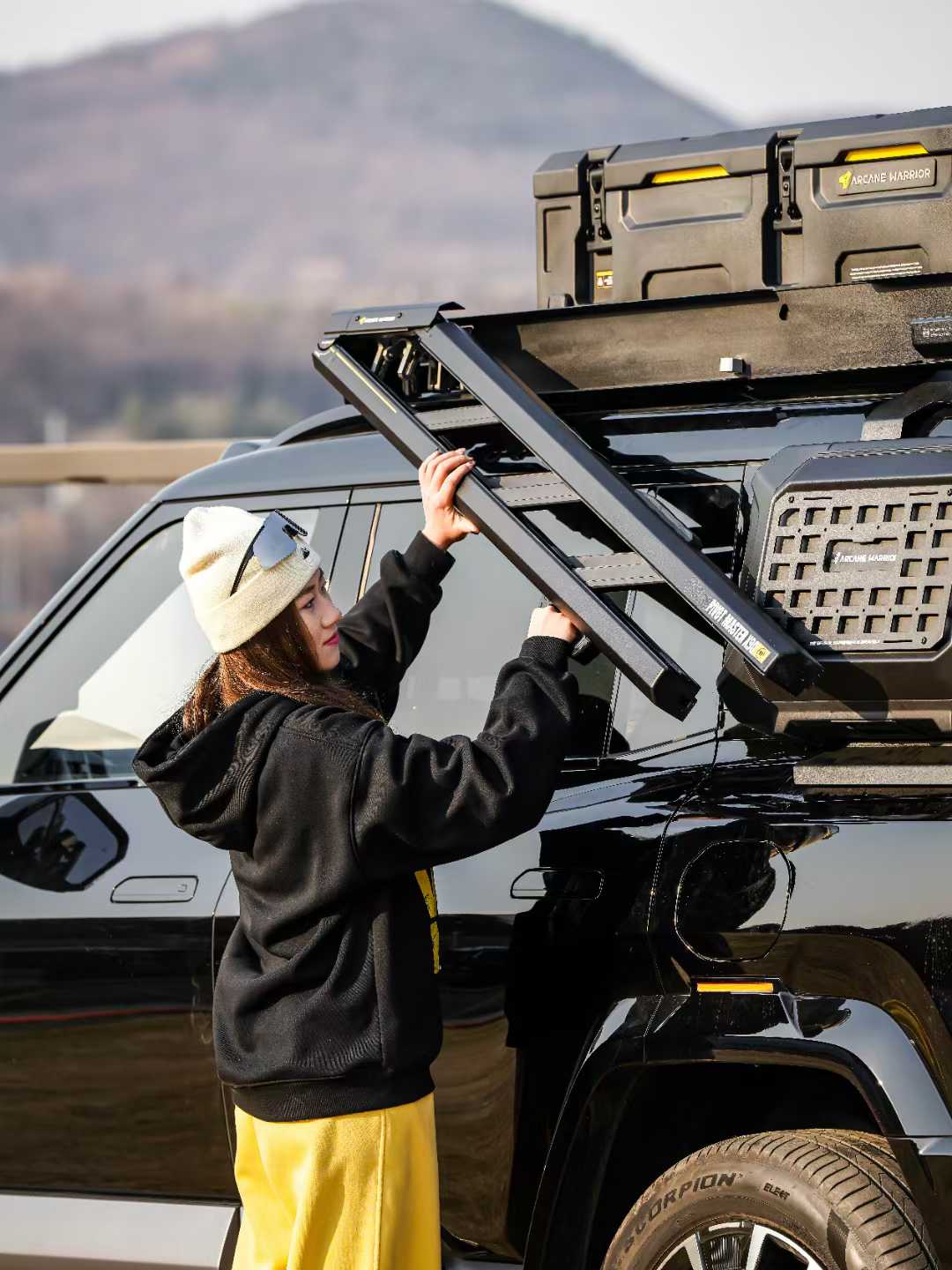 AW Revolve Swivel Ladder