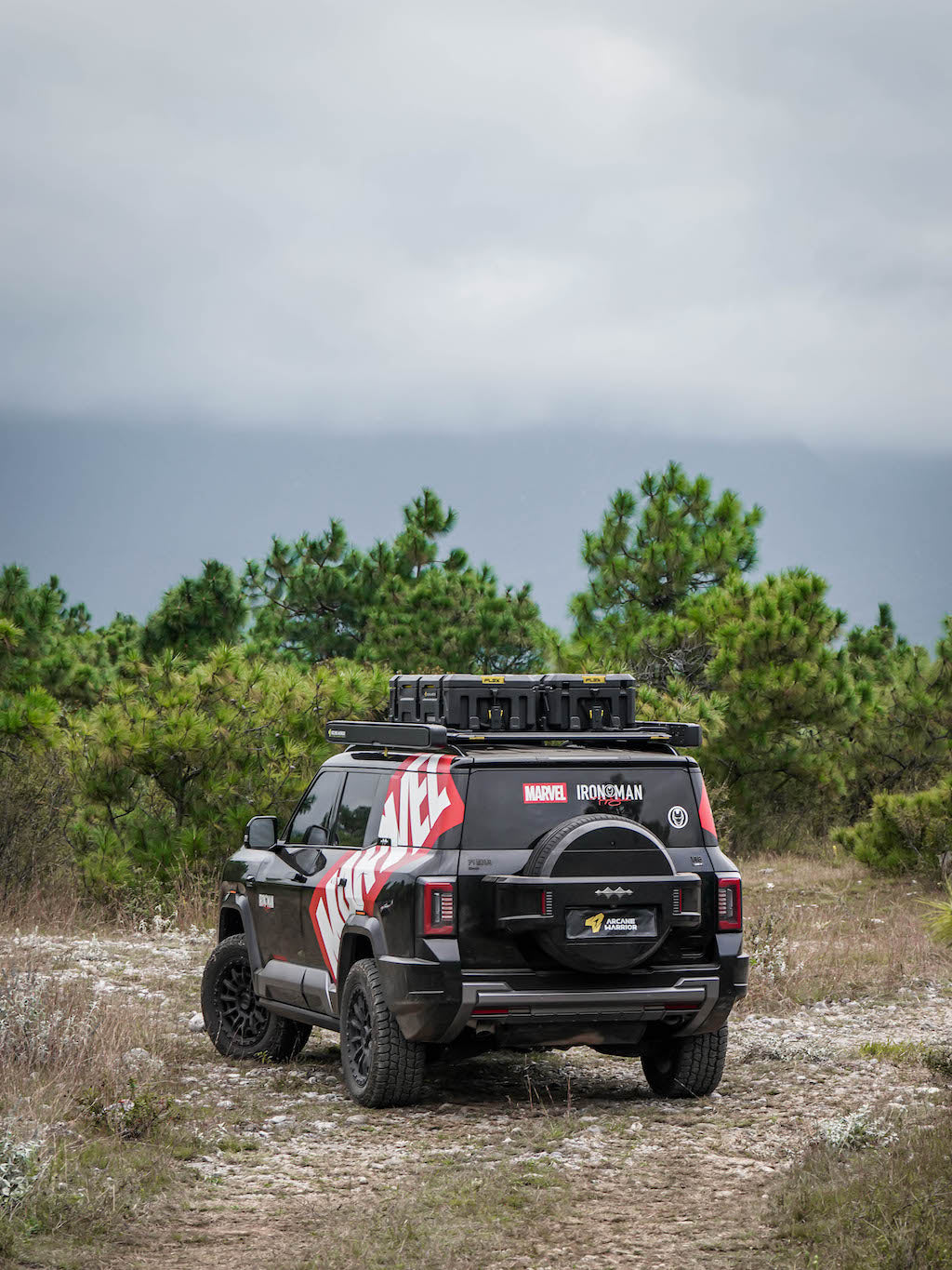 M'LINK X ROOF PLATFORM - DENZA B8