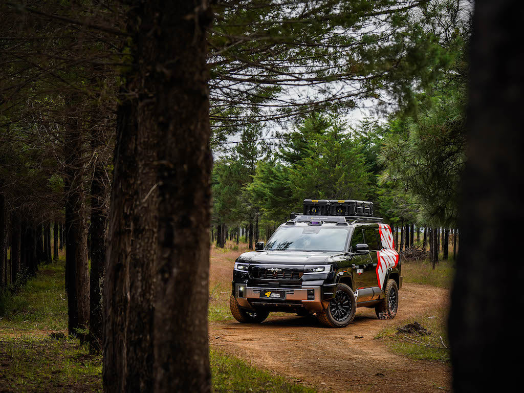 M'LINK X ROOF PLATFORM - DENZA B8