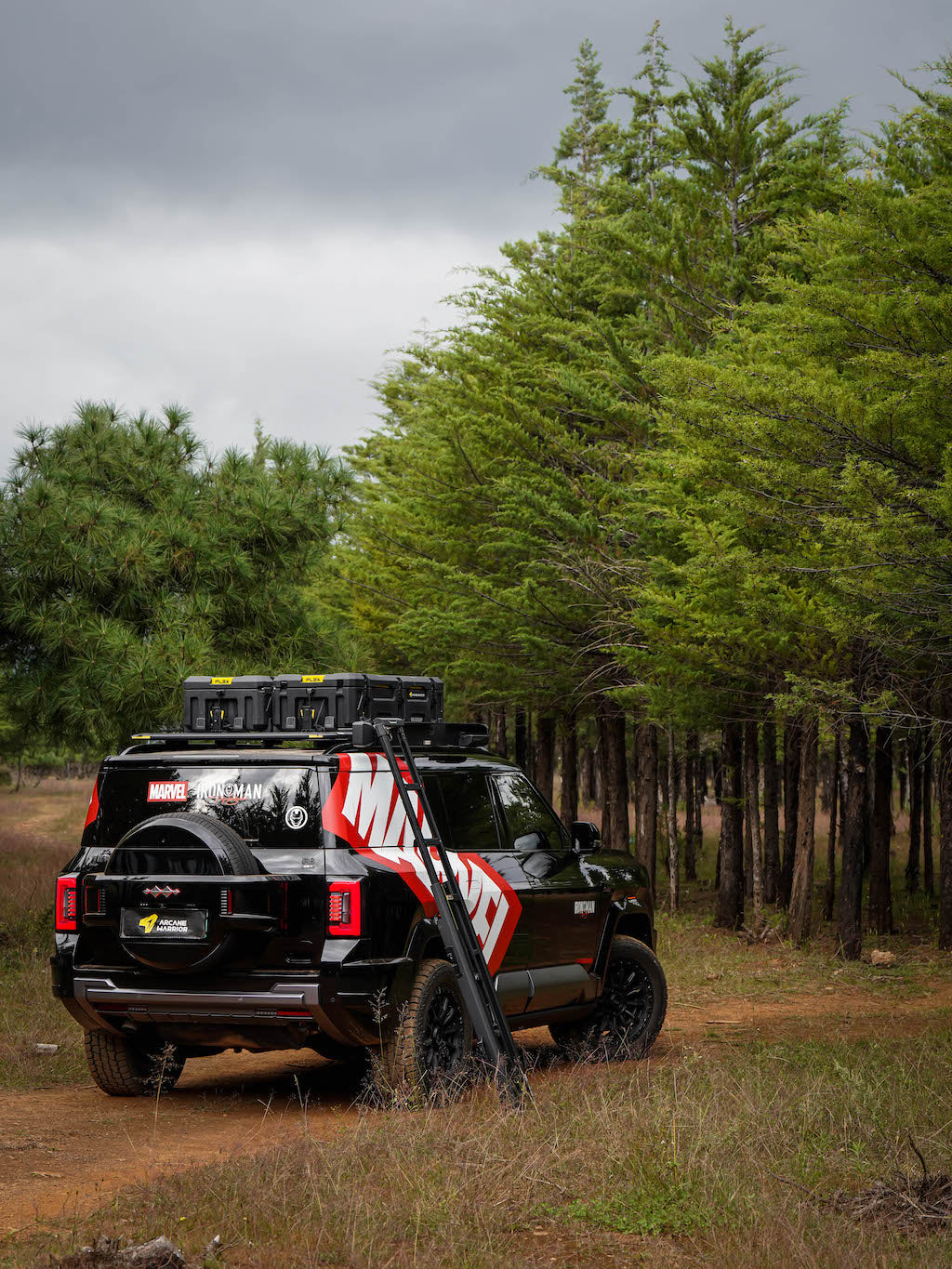 M'LINK X ROOF PLATFORM - DENZA B8