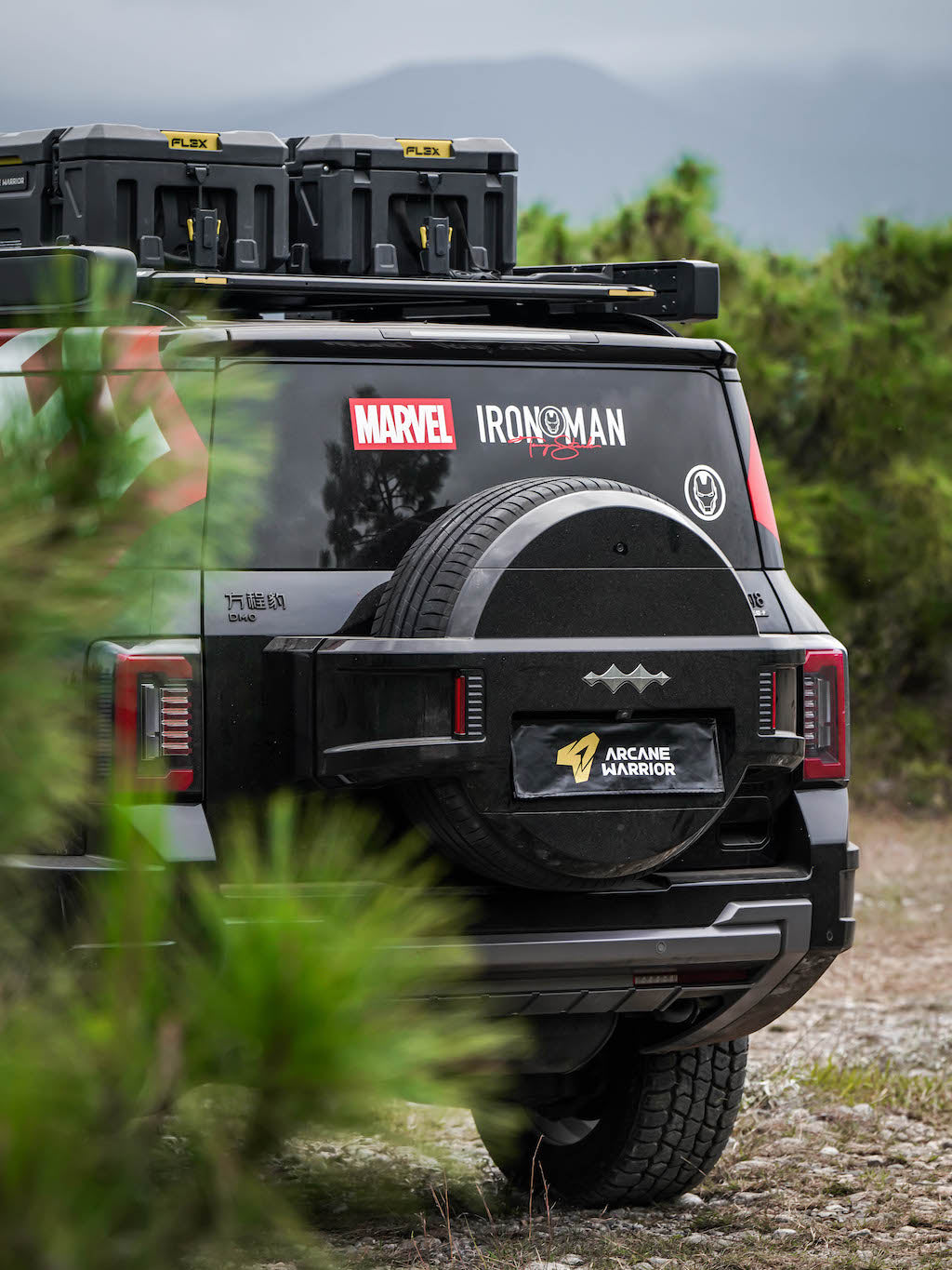 M'LINK X ROOF PLATFORM - DENZA B8