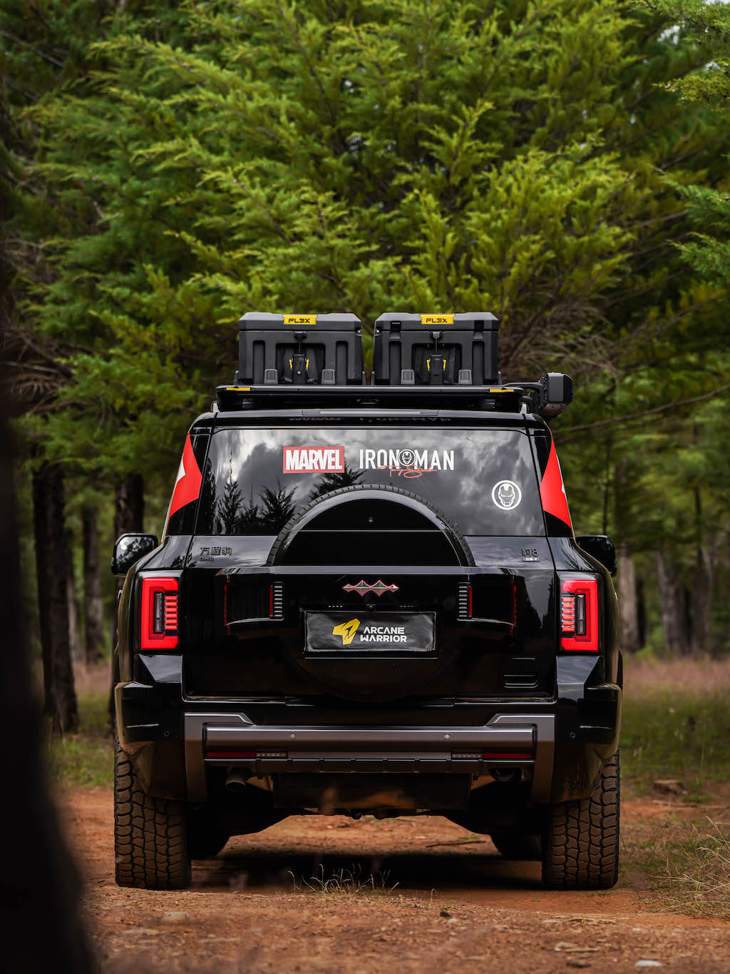 M'LINK X ROOF PLATFORM - DENZA B8