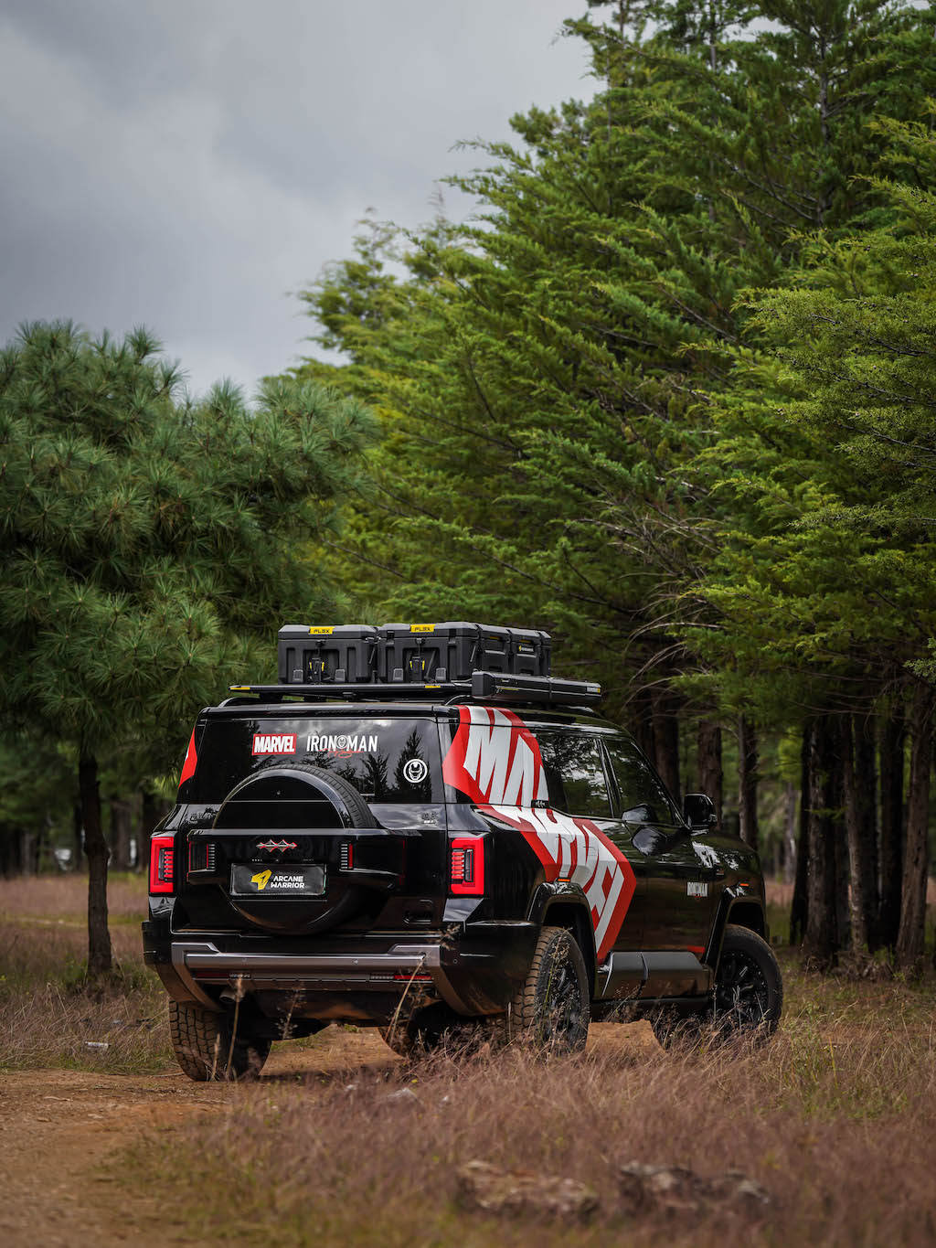 M'LINK X ROOF PLATFORM - DENZA B8