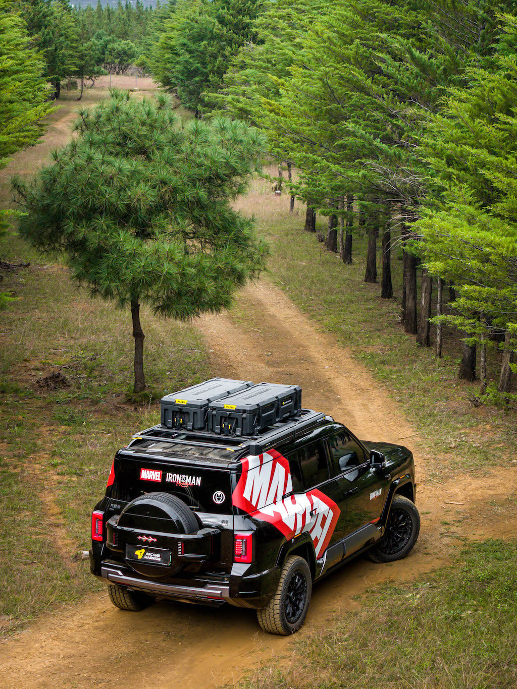 M'LINK X ROOF PLATFORM - DENZA B8