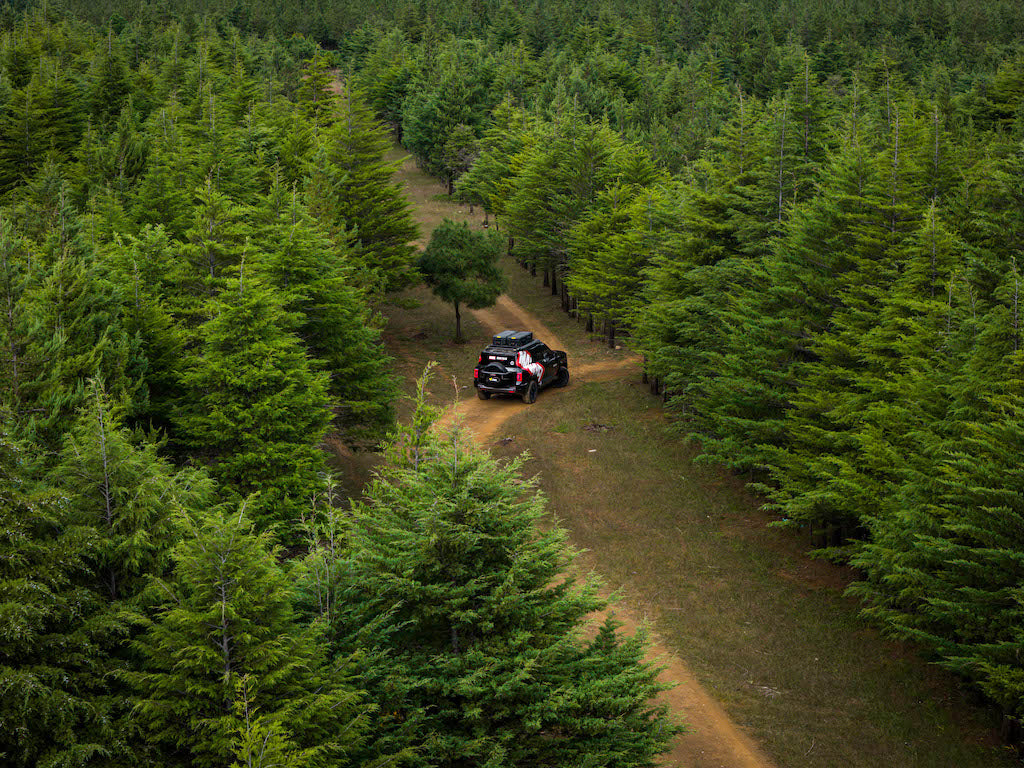 M'LINK X ROOF PLATFORM - DENZA B8