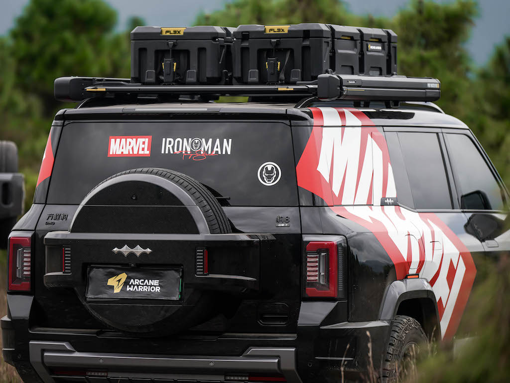 M'LINK X ROOF PLATFORM - DENZA B8