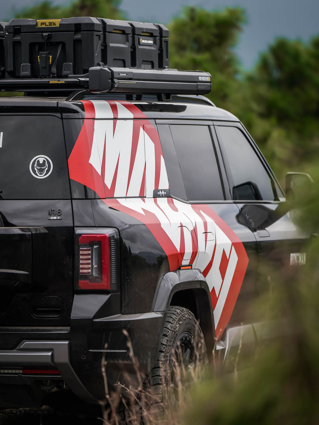 M'LINK X ROOF PLATFORM - DENZA B8