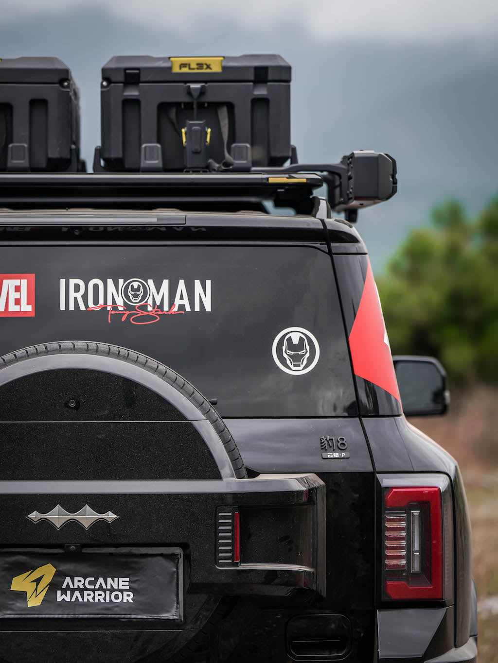 M'LINK X ROOF PLATFORM - DENZA B8