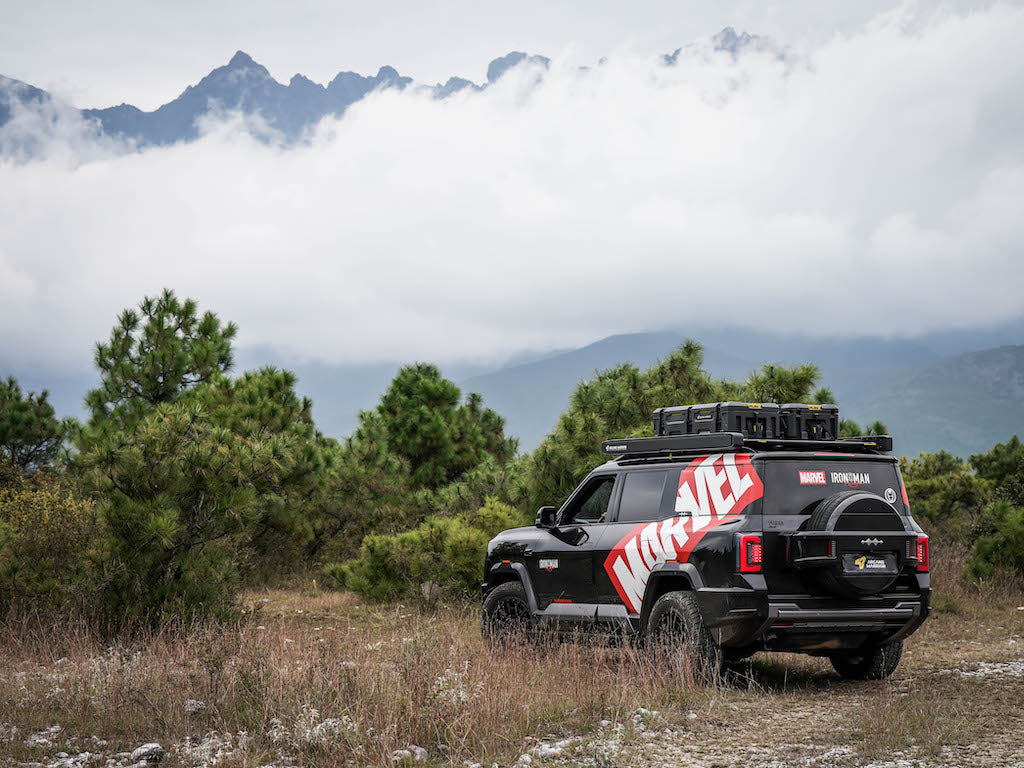 M'LINK X ROOF PLATFORM - DENZA B8