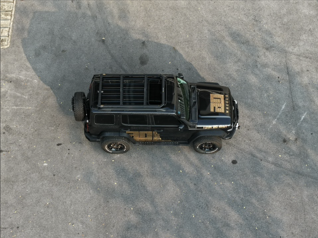 M'LINK X ROOF PLATFORM - GWM TANK 300