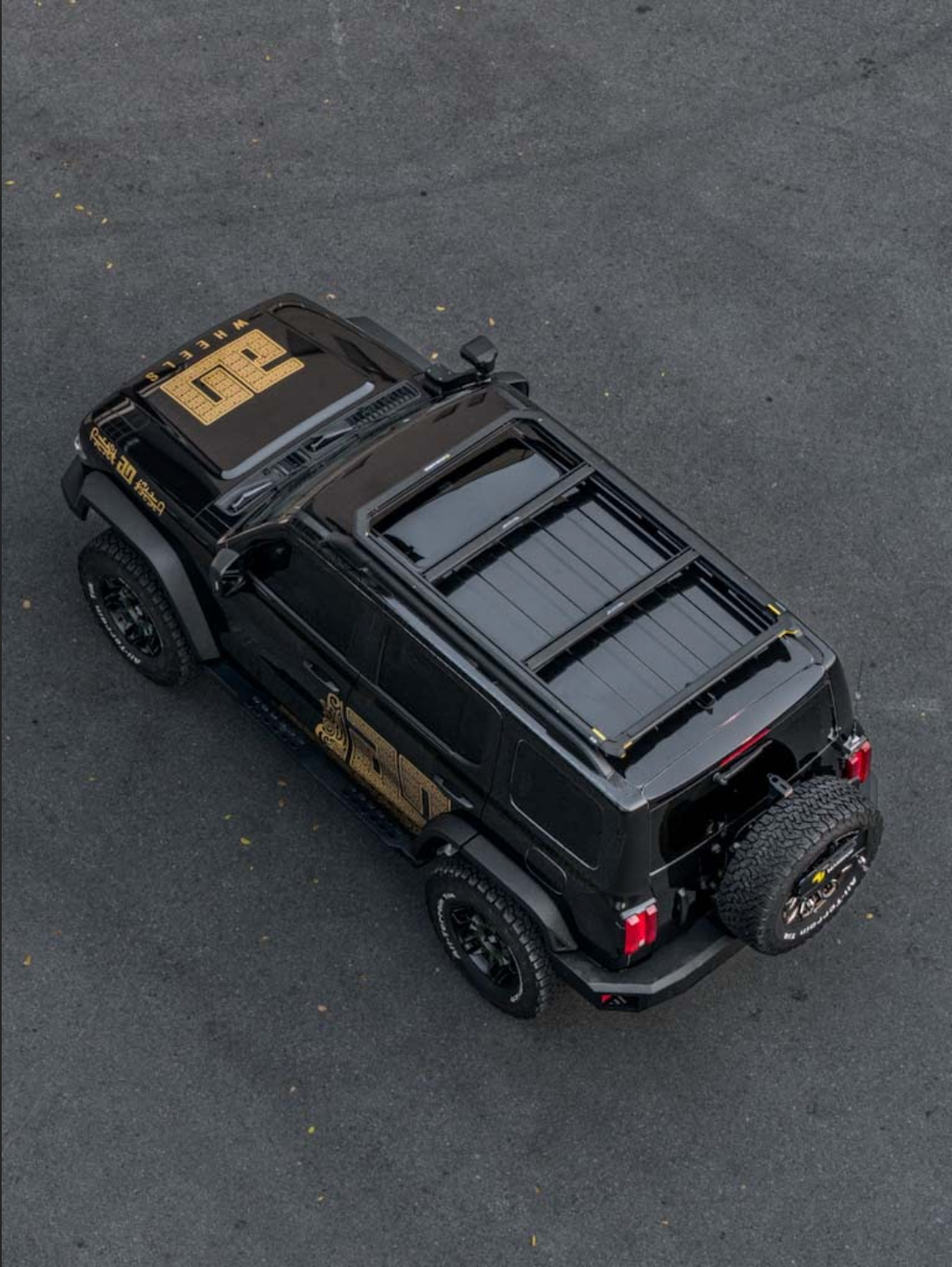 M'LINK X ROOF PLATFORM - GWM TANK 300