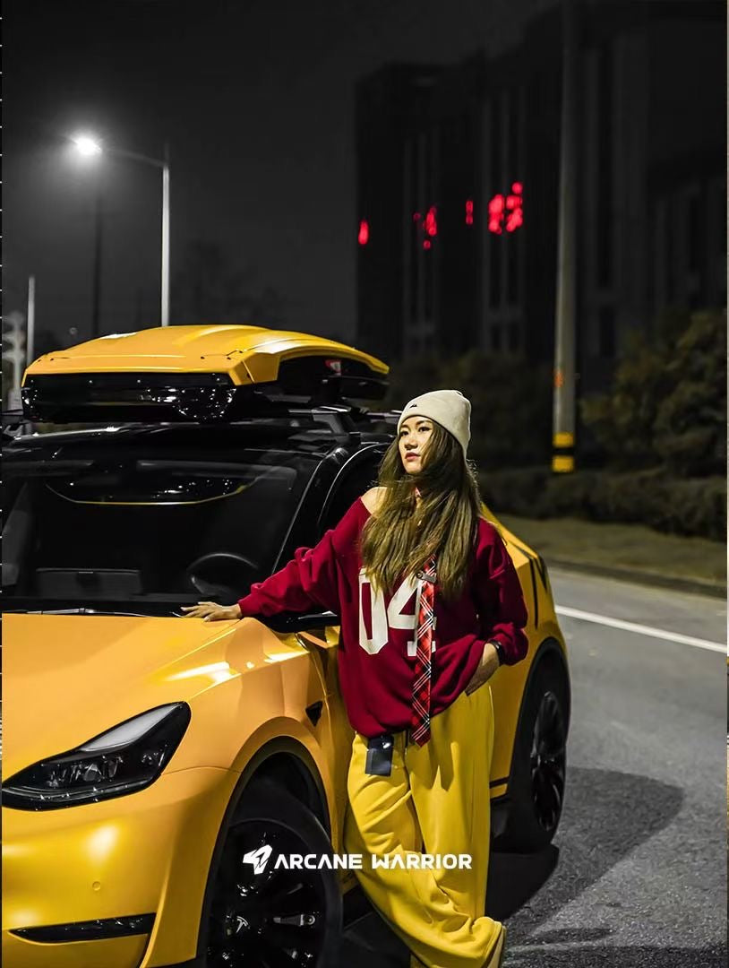 VIZOR Roof Rack - Tesla Model Y